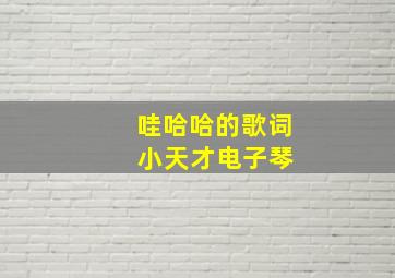 哇哈哈的歌词 小天才电子琴